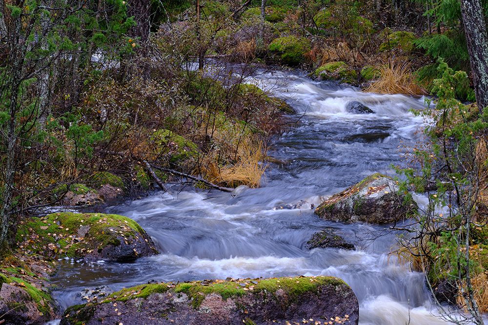 Wild stream art print by Geertjan Plooijer for $57.95 CAD