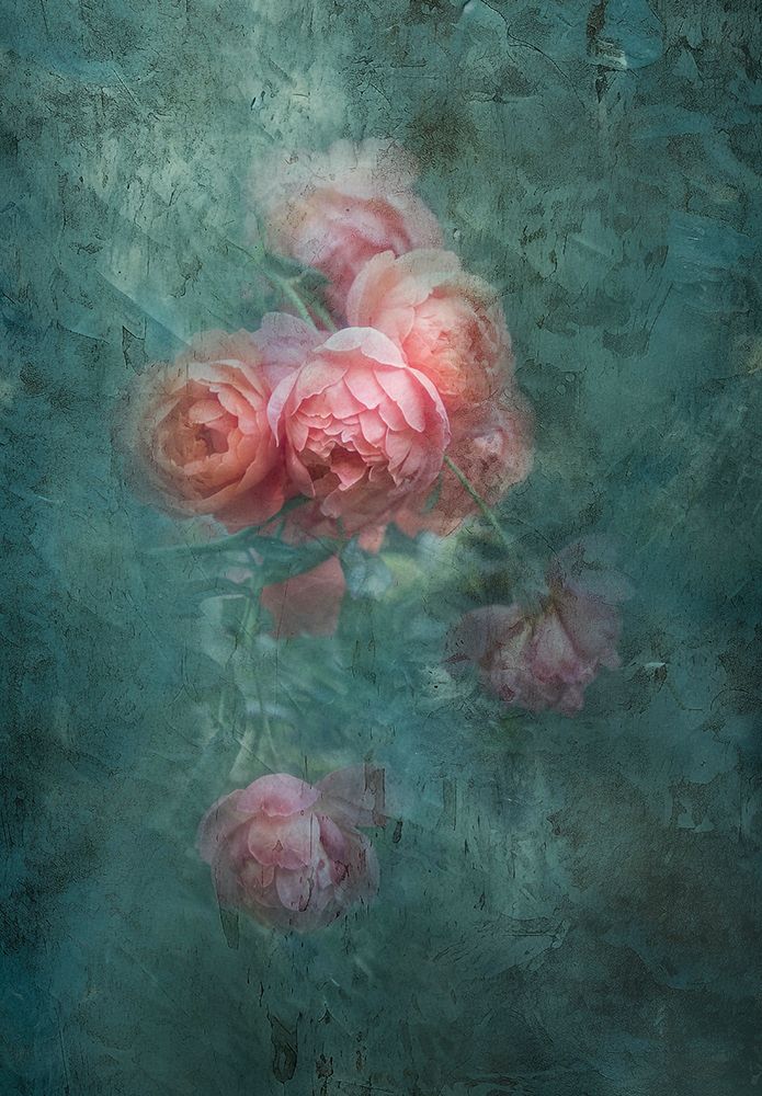 Untitled art print by Judy Tseng for $57.95 CAD
