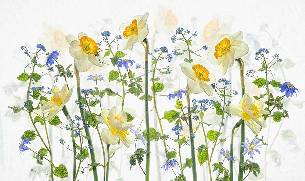 Sign of Spring art print by Lydia Jacobs for $57.95 CAD