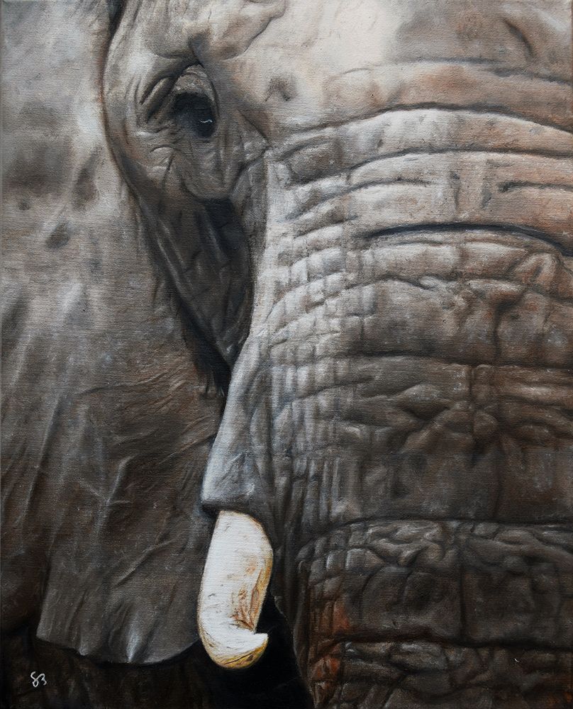 Elephant art print by Santiago Bugdadi for $57.95 CAD