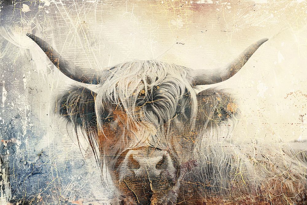 Cow Highland Illustration Art 01 art print by Rafal Kulik for $57.95 CAD