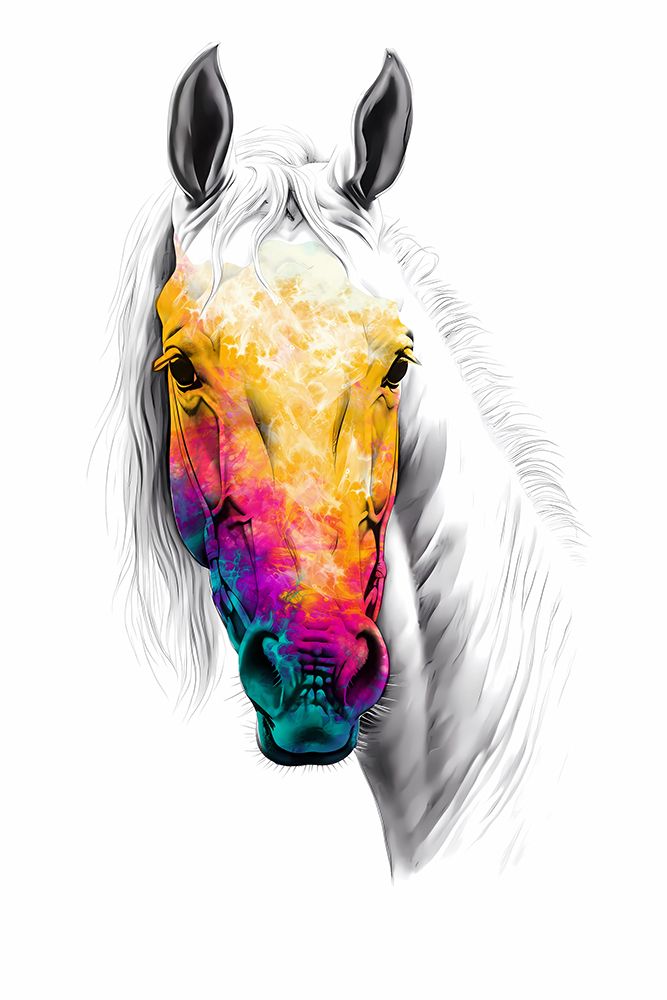 Horse Wild Tribal Illustration Art 06 art print by Rafal Kulik for $57.95 CAD