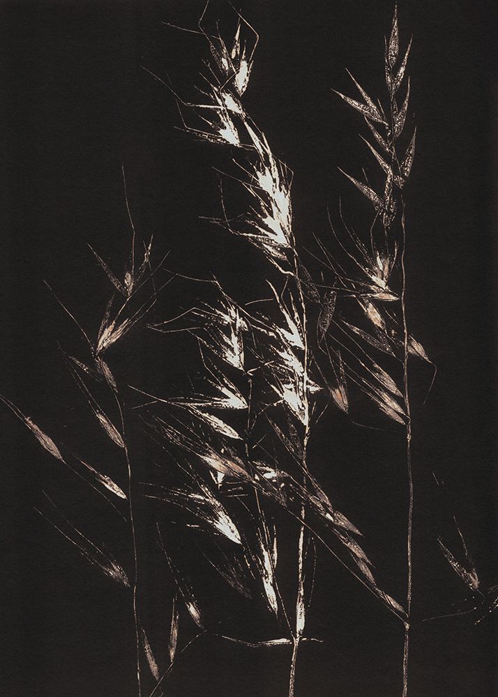 Wild Grass art print by Alisa Galitsyna for $57.95 CAD