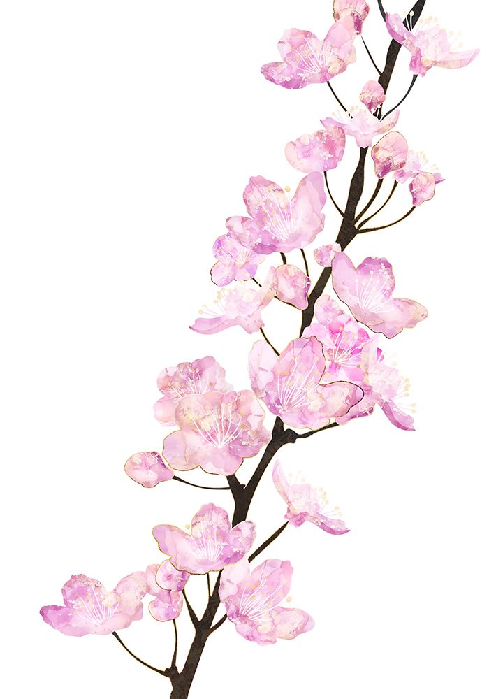 April Cherry Blossoms white art print by Sarah Manovski for $57.95 CAD