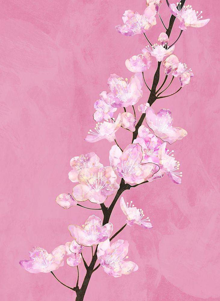 April Cherry Blossoms art print by Sarah Manovski for $57.95 CAD