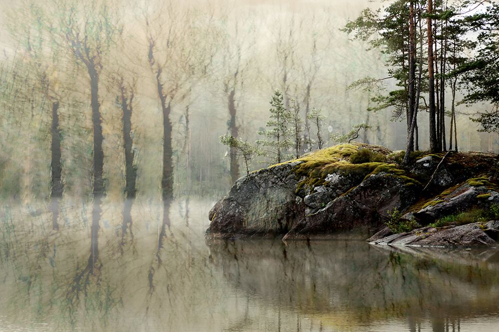 Morning fog art print by Christina Sillen for $57.95 CAD