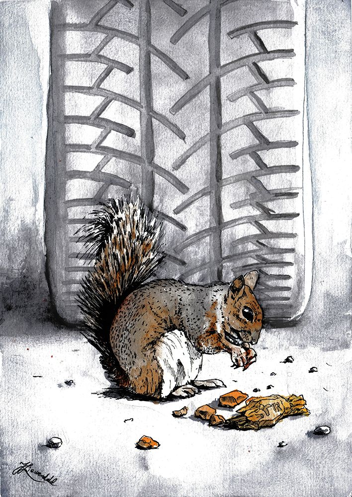 Rodent. Squirrel in the Street. Ink Watercolor Painting. art print by Johan Liewendahl for $57.95 CAD