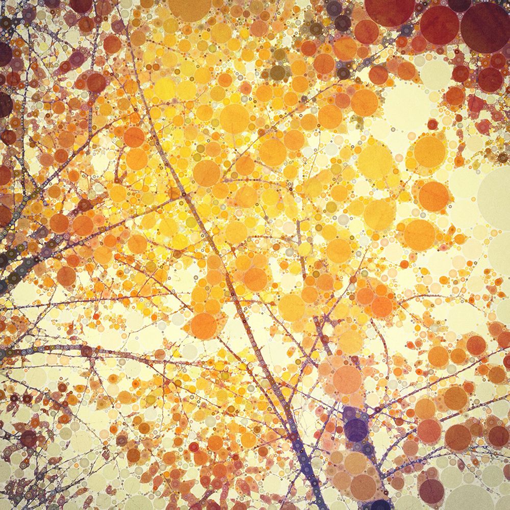 yellow autumn birch leaves art print by Olivia Joy StClaire for $57.95 CAD