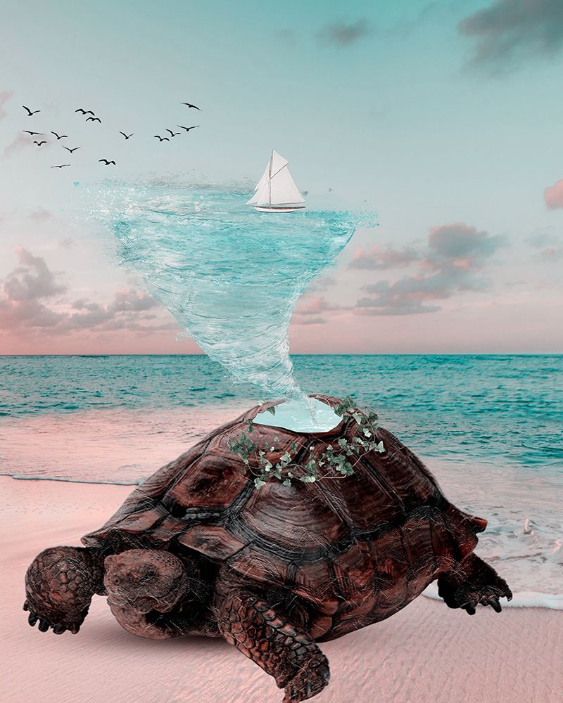 Turtle art print by Salome Zhividze for $57.95 CAD