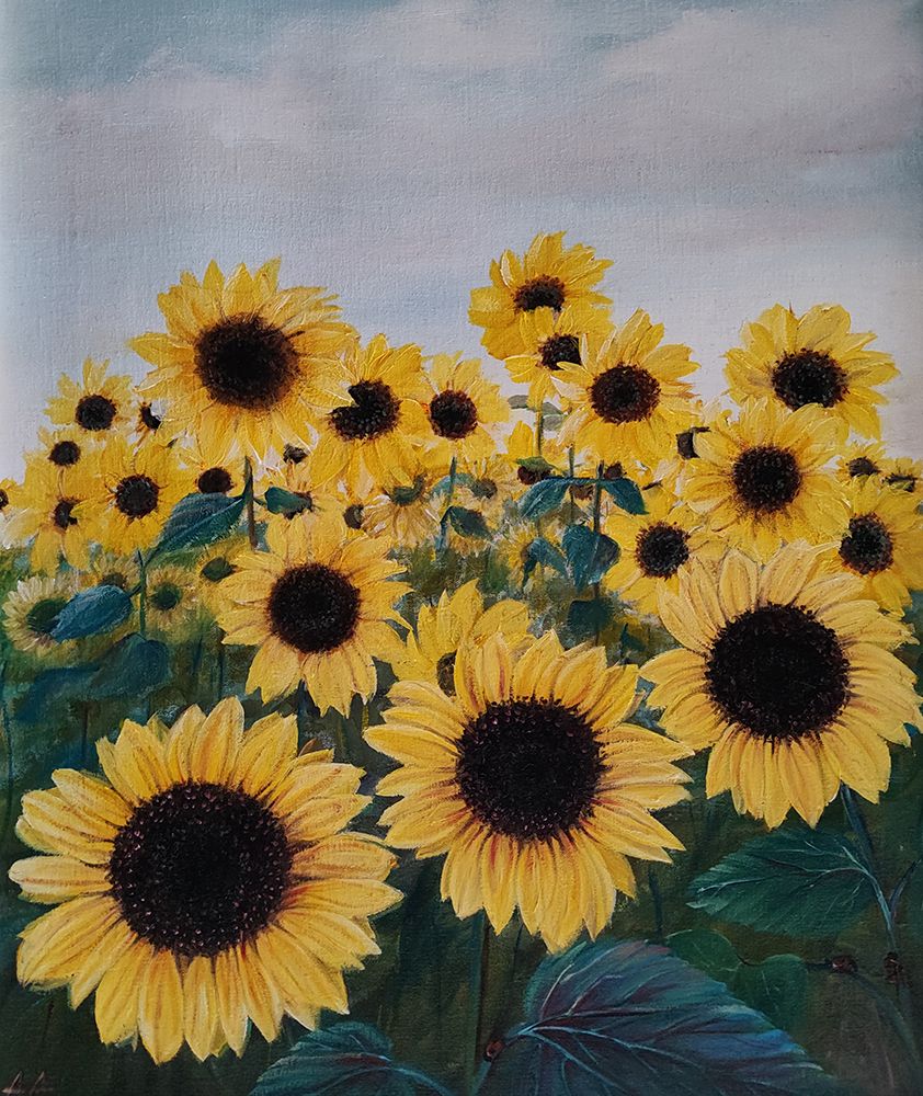 Sunflowers art print by Annette Armitage for $57.95 CAD