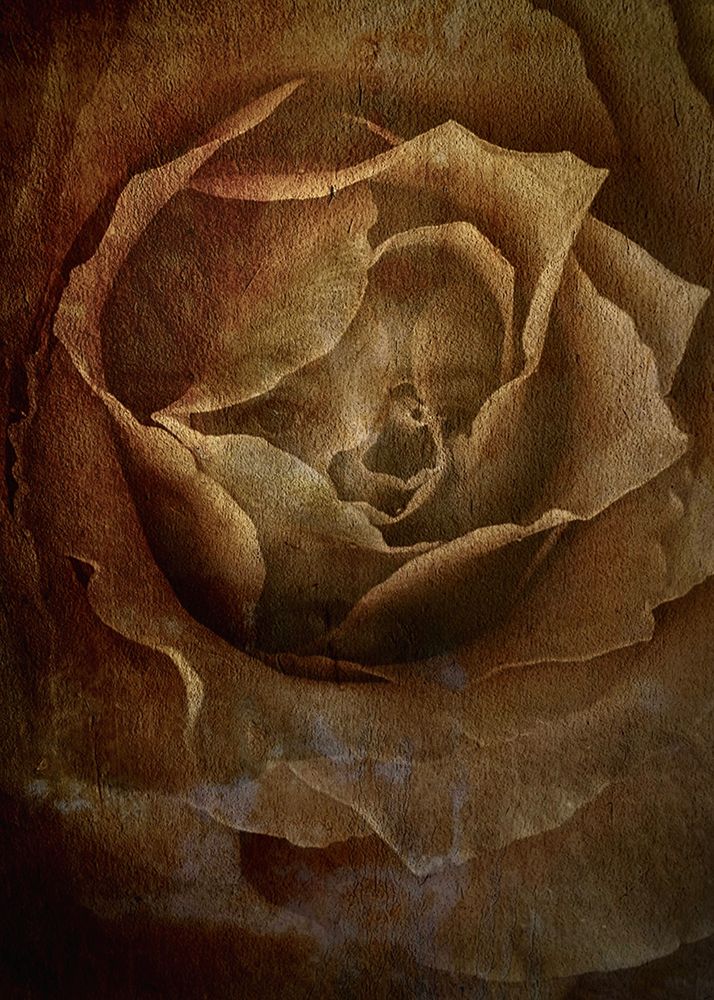 Metamorphosis art print by Mia Depaola for $57.95 CAD