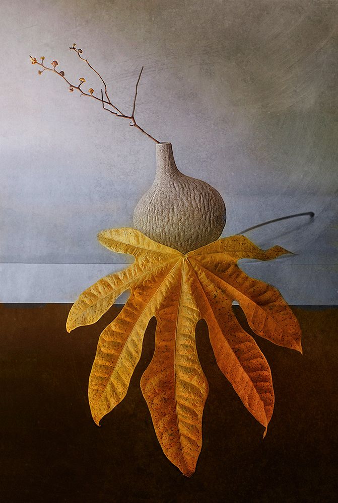 Withered art print by Elena Arjona for $57.95 CAD