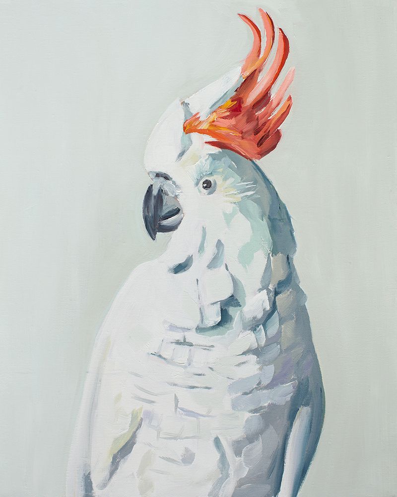 White Cockadoo art print by Jenny westenhofer for $57.95 CAD