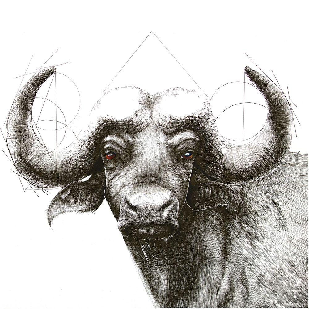 Geometrisk Buffel art print by Sara W. Nelin for $57.95 CAD