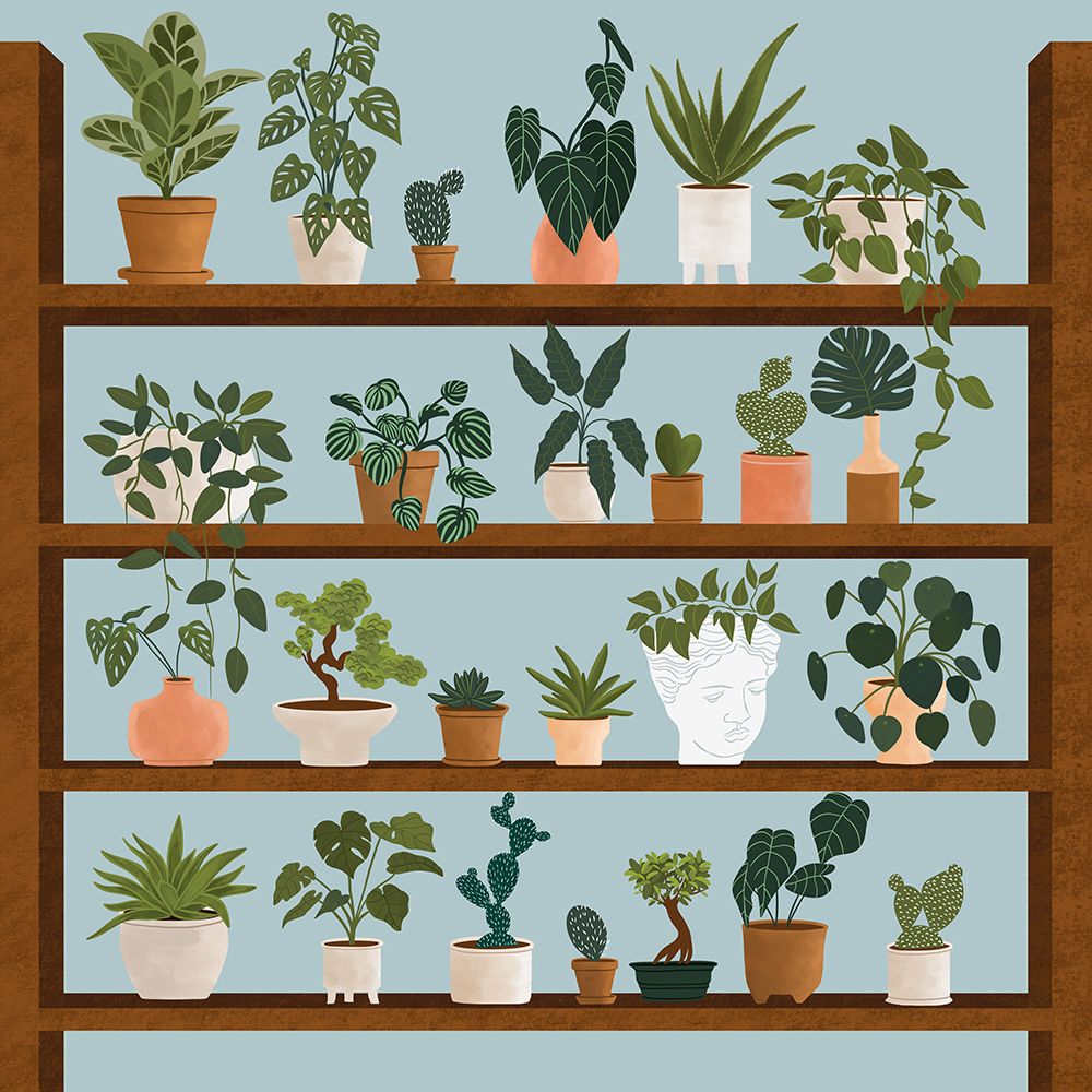 Plant Shelves art print by Ceyda Alasar for $57.95 CAD