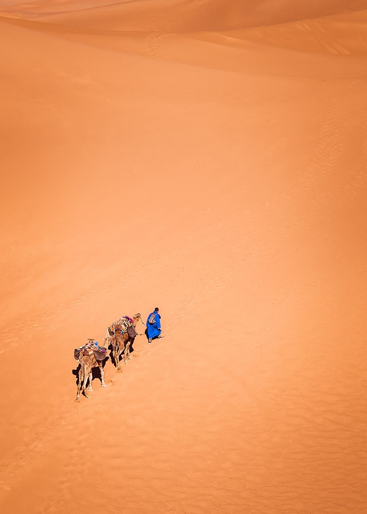 Life in the desert art print by Miroslaw Prybinski for $57.95 CAD