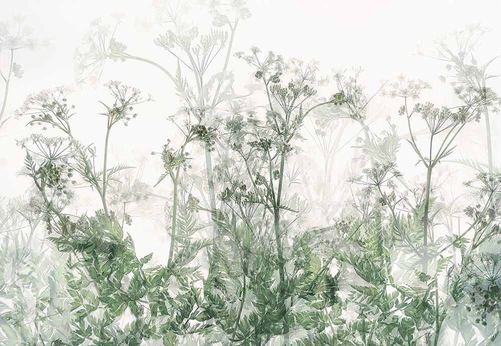 Morning atmosphere art print by Nel Talen for $57.95 CAD