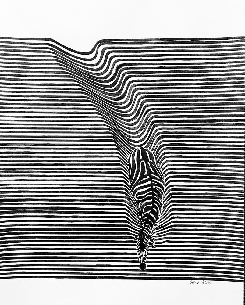 Zebra in het veld art print by Erik Van Velzen for $57.95 CAD
