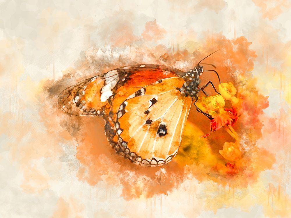 Closing Butterfly art print by Designs Vesuvik for $57.95 CAD