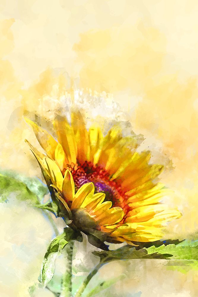 Blossom Sunny art print by Designs Vesuvik for $57.95 CAD
