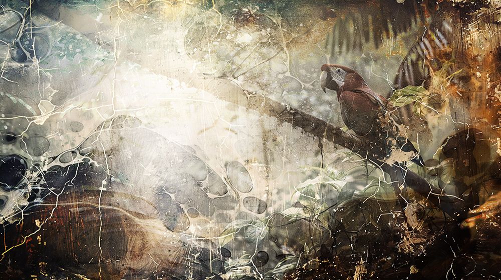 Jungle Animals Art Illustration 09 art print by Rafal Kulik for $57.95 CAD