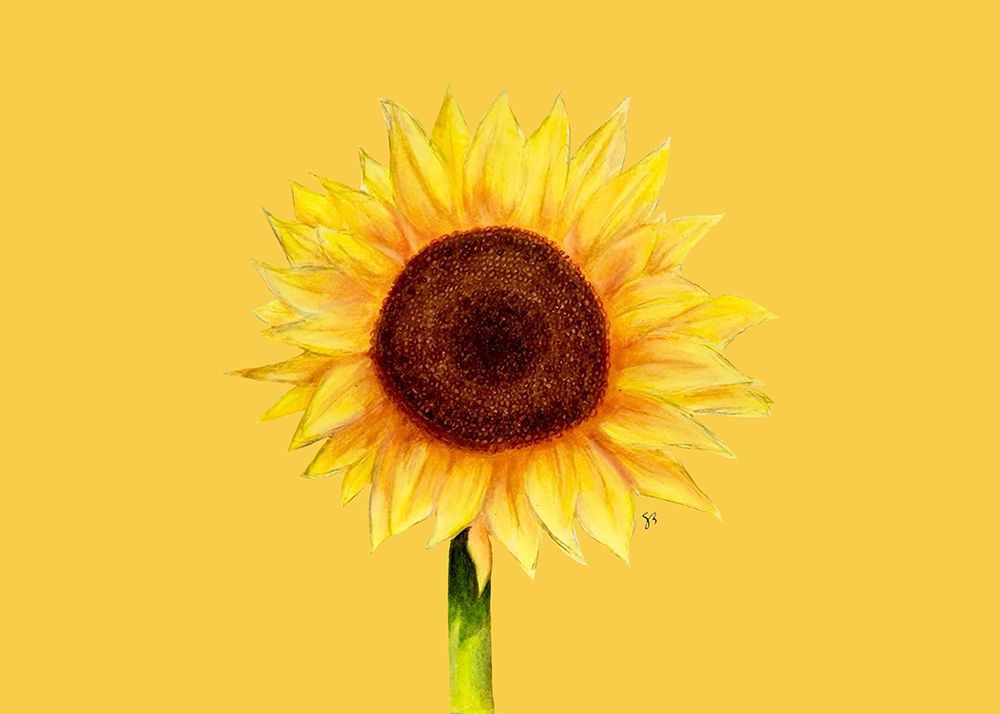 Sunflower art print by Santiago Bugdadi for $57.95 CAD