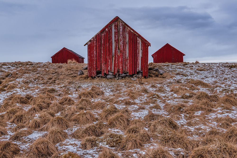 3 in a row art print by erwin hodister for $57.95 CAD