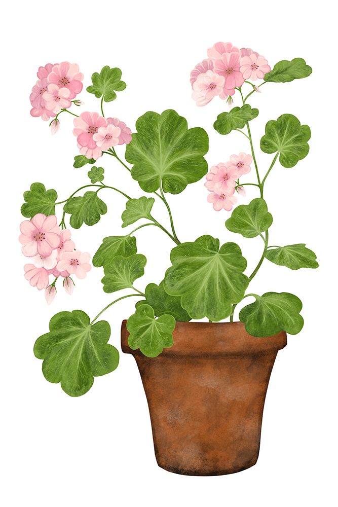 Pink Geranium art print by EMELIEmaria for $57.95 CAD