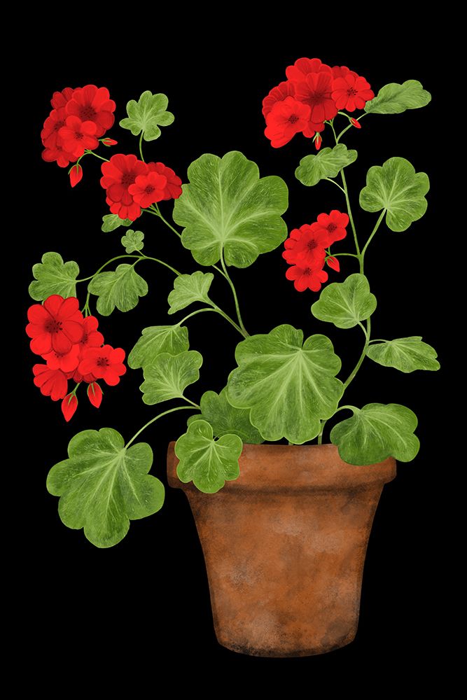 Red Geranium art print by EMELIEmaria for $57.95 CAD