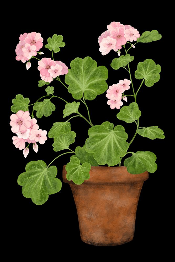 Pink Geranium art print by EMELIEmaria for $57.95 CAD