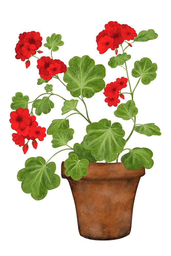 Red Geranium art print by EMELIEmaria for $57.95 CAD