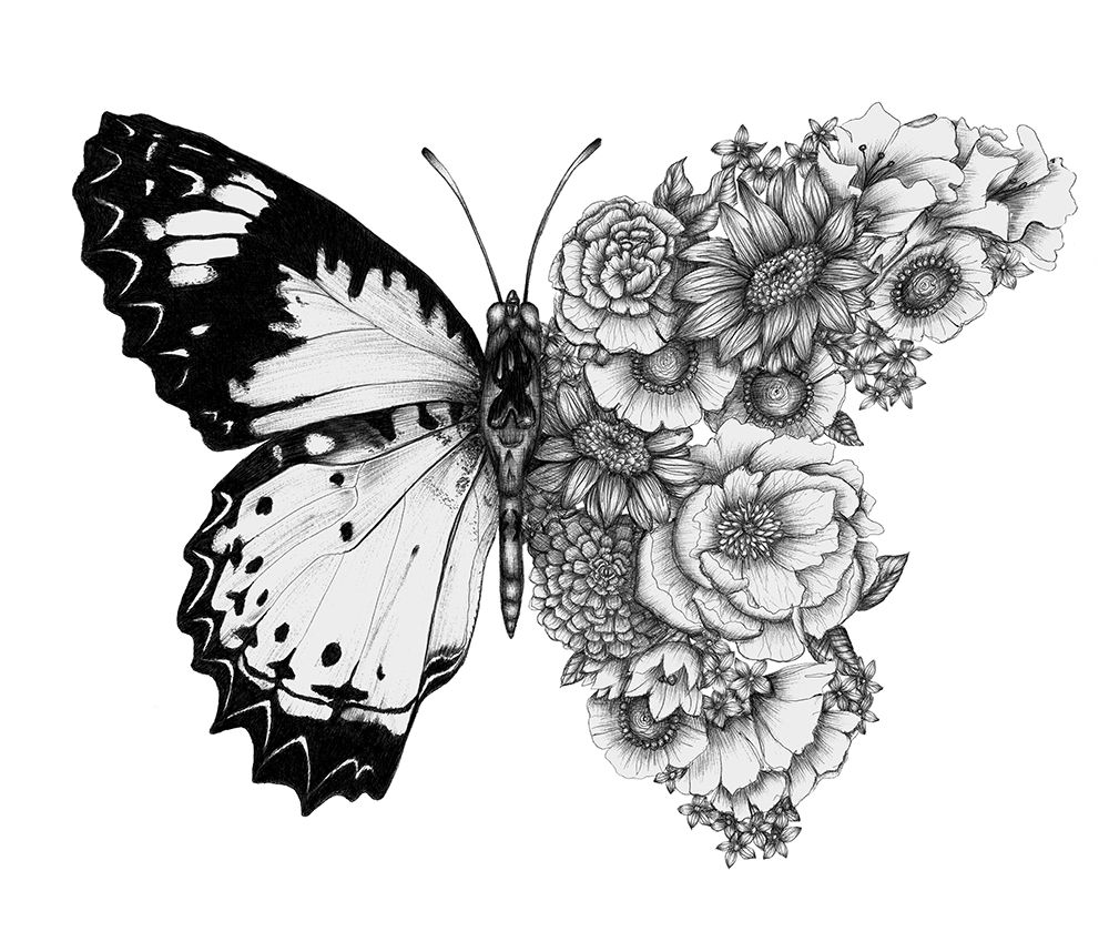 Ecmazur   Butterfly In Bloom art print by EC Mazur for $57.95 CAD