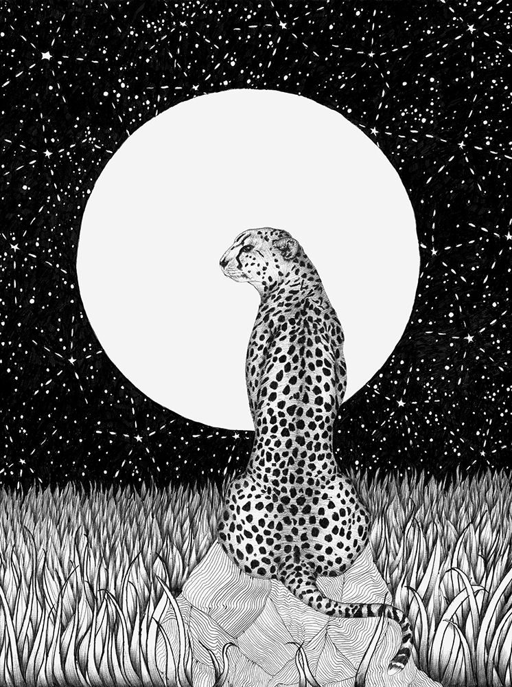 Cheetah Moon Large art print by EC Mazur for $57.95 CAD