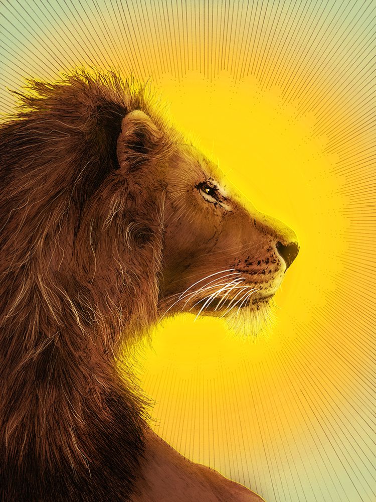 Sun and Lion Colour art print by EC Mazur for $57.95 CAD