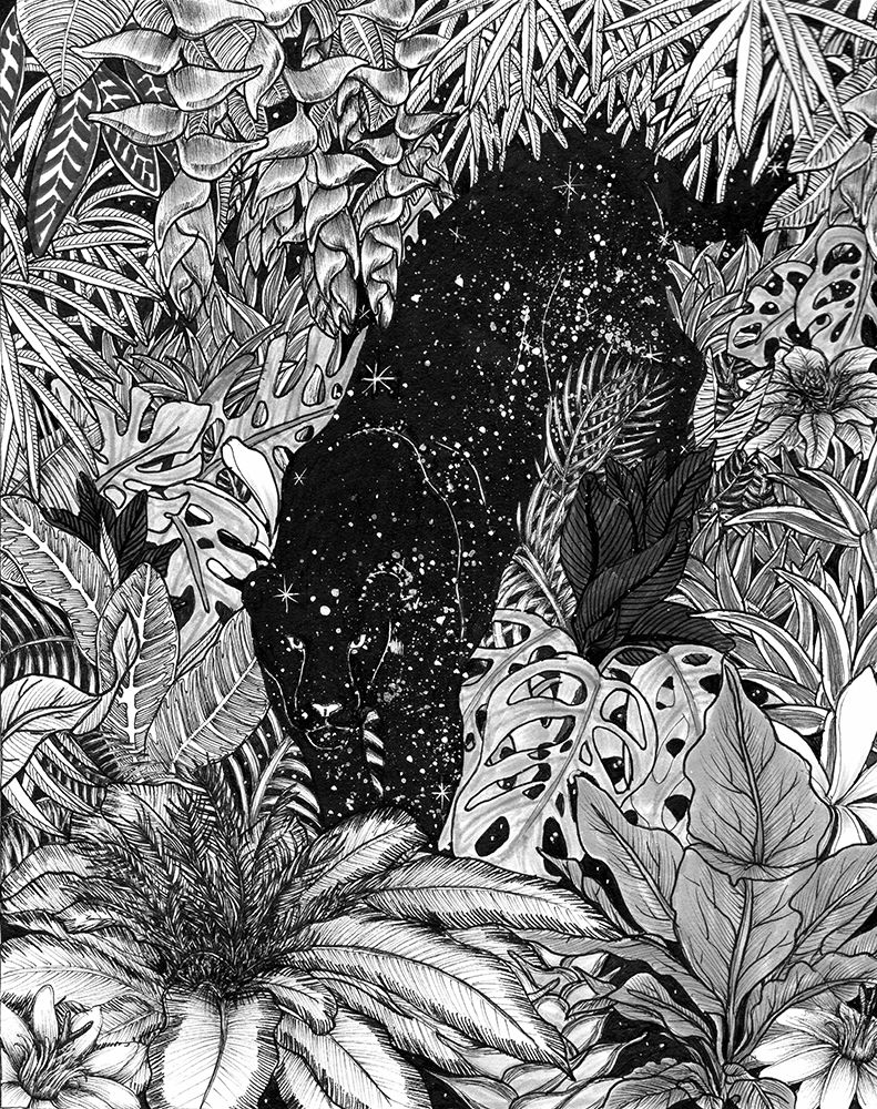 Mazur   the Jungle At Night   2018   Pen and Ink art print by EC Mazur for $57.95 CAD