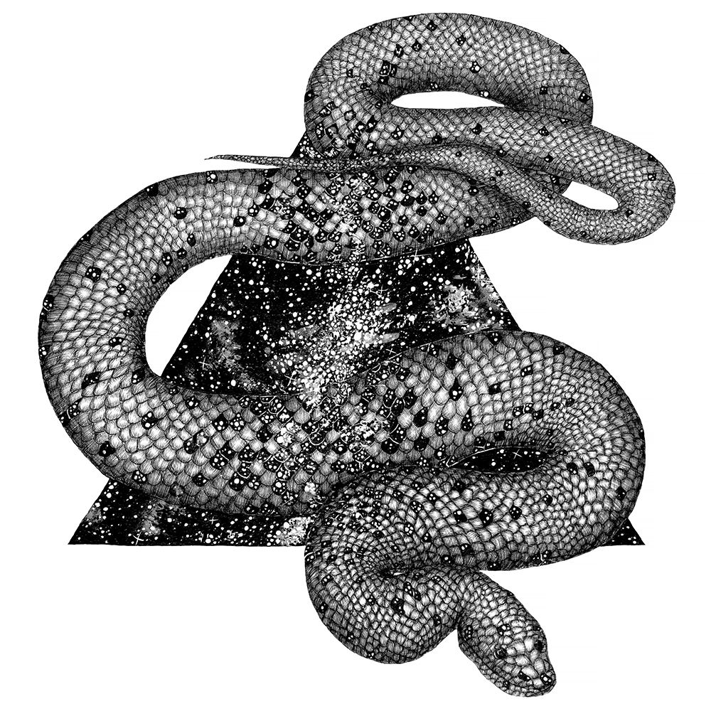 Cosmic Snake Mural art print by EC Mazur for $57.95 CAD