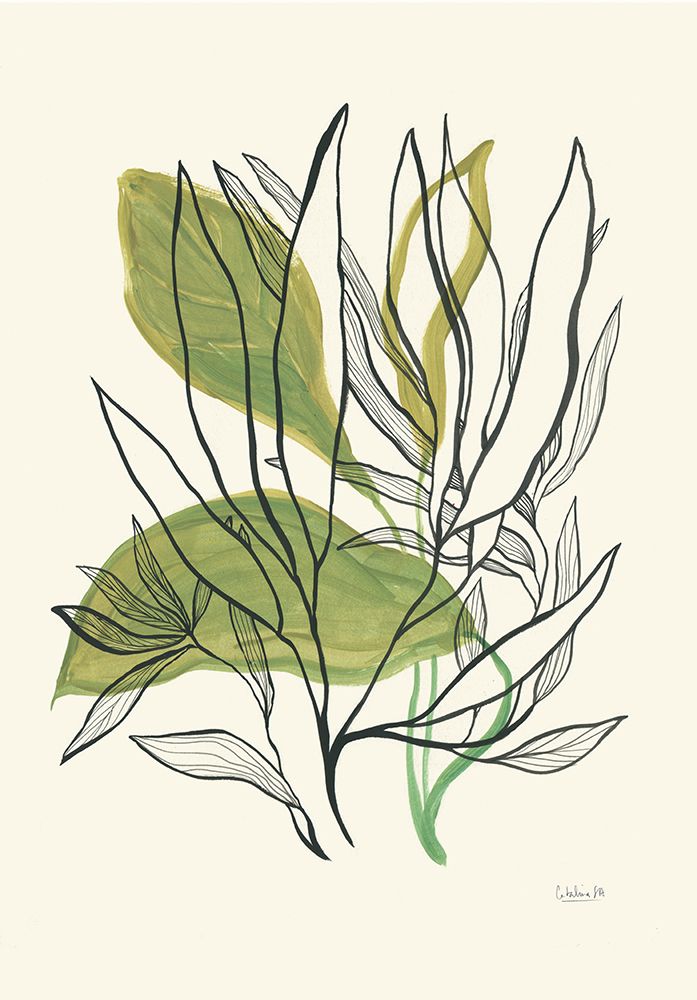 Foliage N.1 art print by Catalina Somolinos for $57.95 CAD