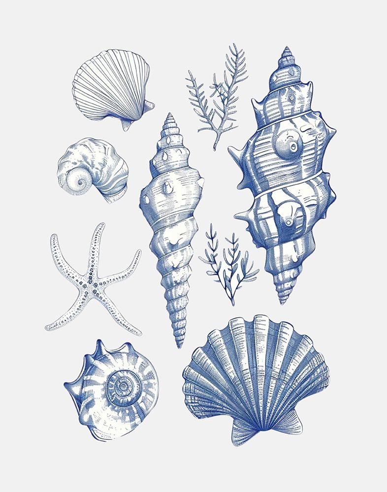 Shell Collage art print by Jolly and Dash for $57.95 CAD