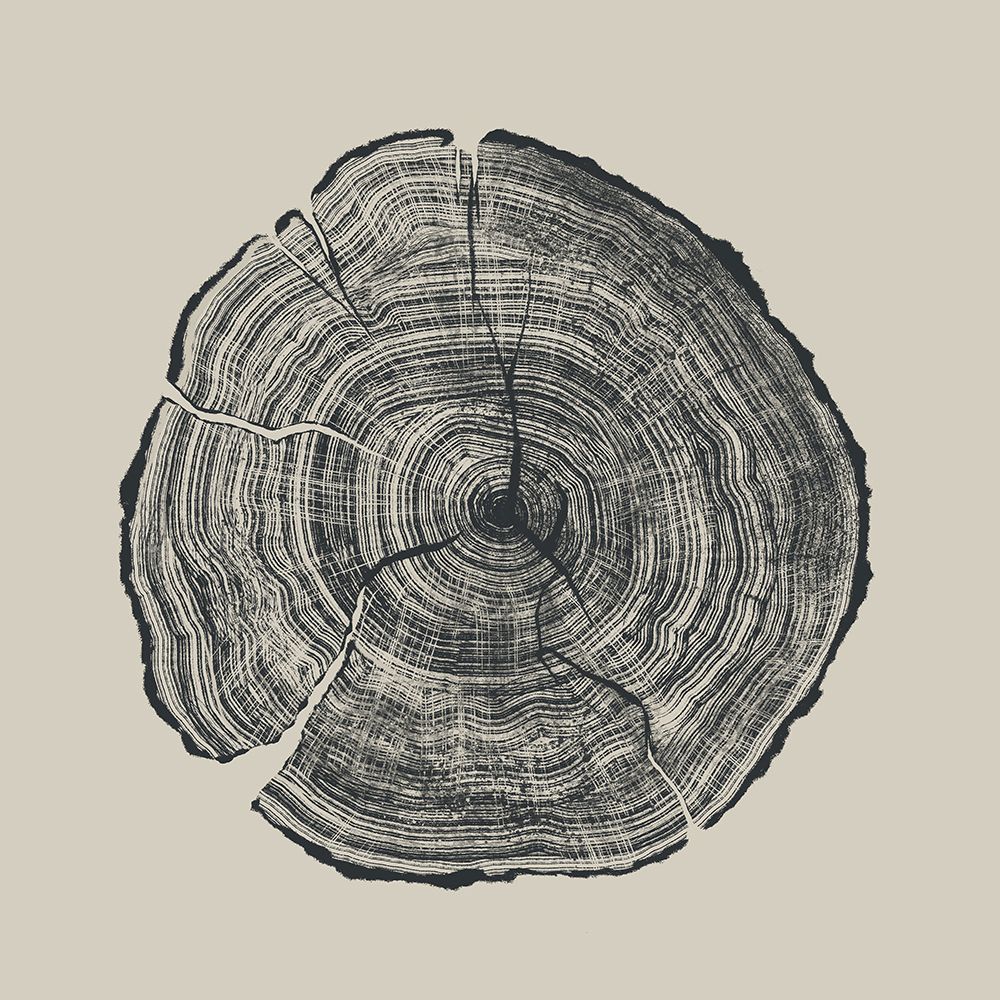 Hand Drawn Oak art print by Dan Hobday for $57.95 CAD