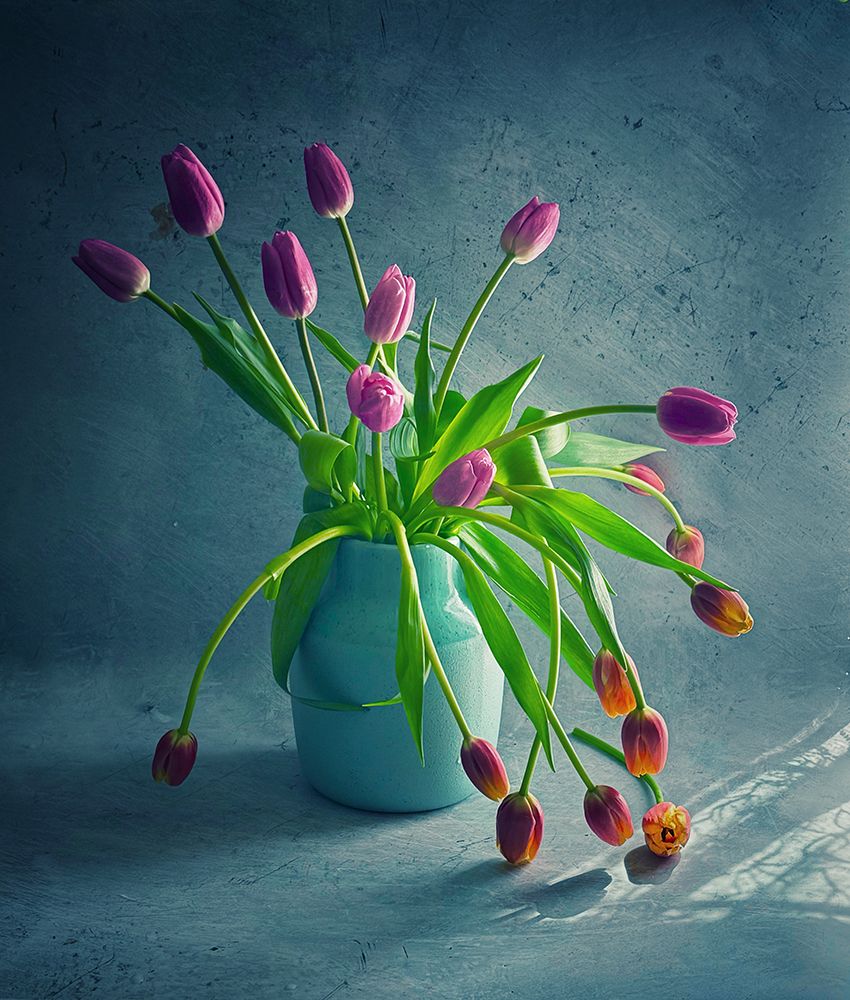 Shadow art print by Judy Tseng for $57.95 CAD