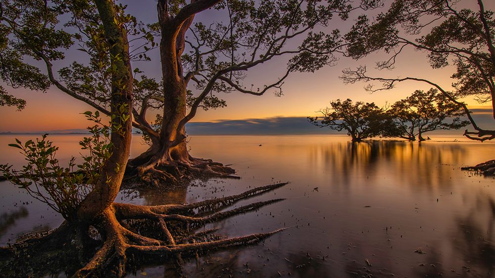 Dawn at Nudgee Beach art print by Emanuel Papamanolis for $57.95 CAD