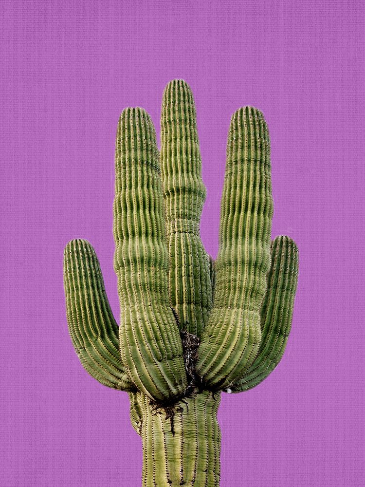 Purple Cactus art print by Lola Peacock for $57.95 CAD