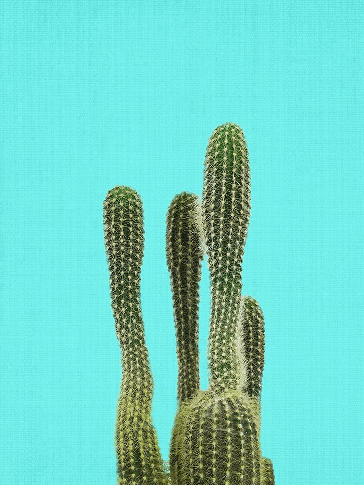 Turquoise Cactus art print by Lola Peacock for $57.95 CAD