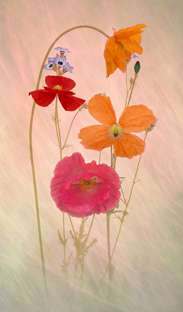 Summer art print by Richard Urbanski for $57.95 CAD