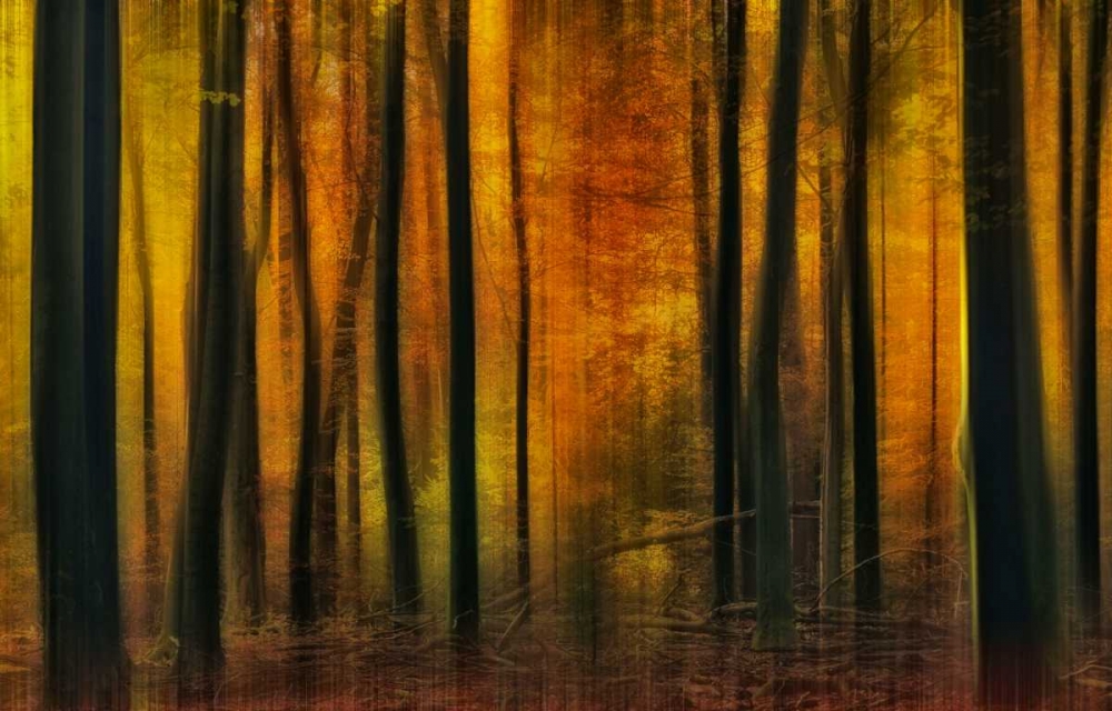 Autumn Falls art print by Jan Paul Kraaij for $57.95 CAD
