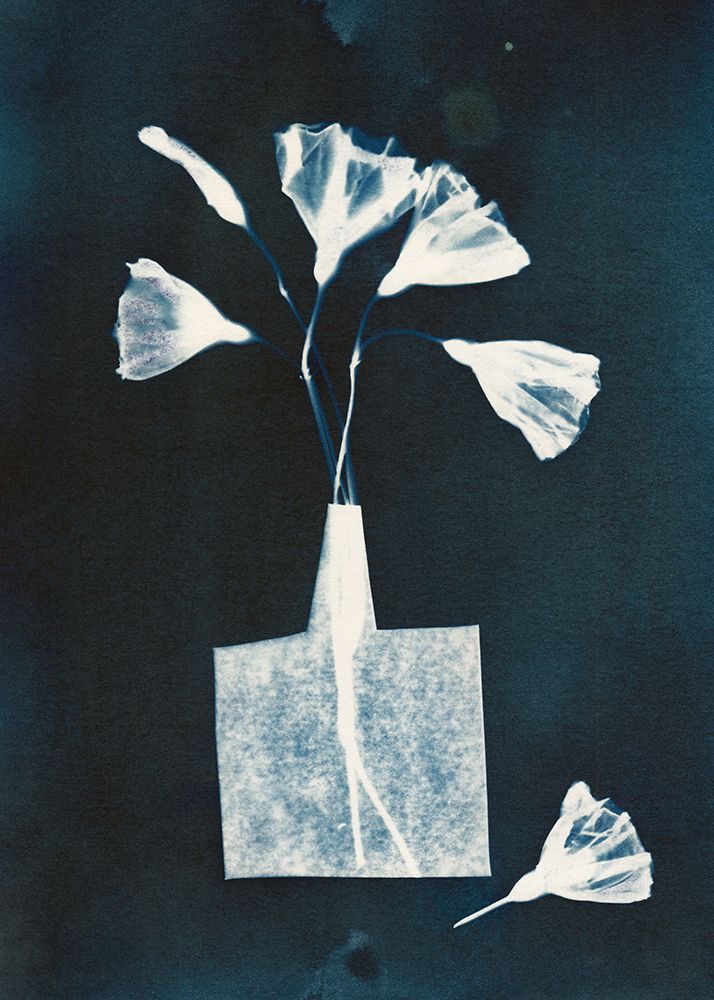 Magic In the Ordinary #8 / Dark art print by Alisa Galitsyna for $57.95 CAD