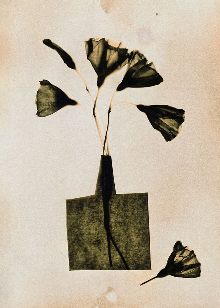 Magic In the Ordinary #8 / Light art print by Alisa Galitsyna for $57.95 CAD
