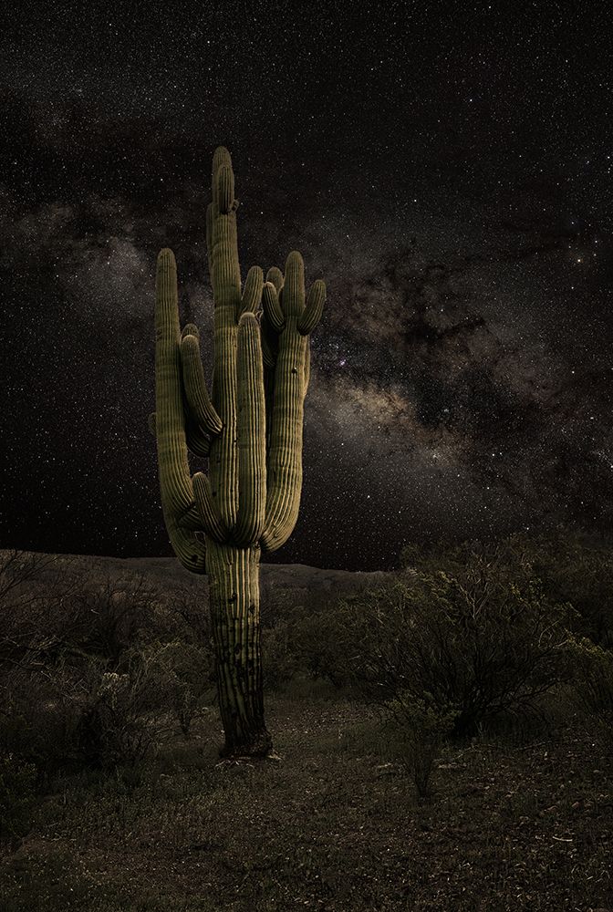 Desert Night art print by Gary Perlow for $57.95 CAD