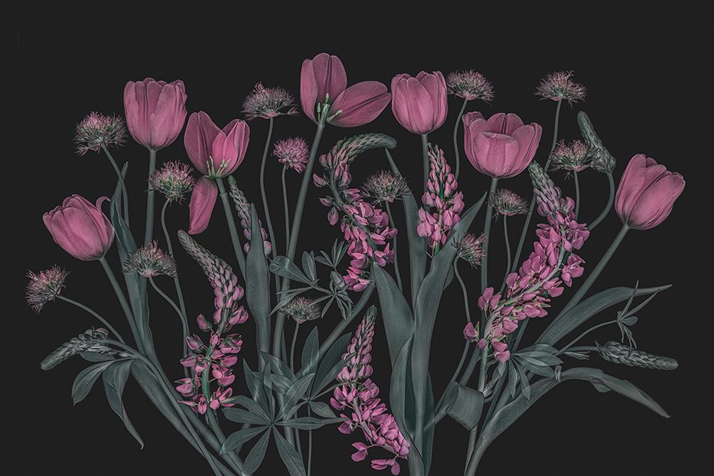 Lovely Pink art print by Lydia Jacobs for $57.95 CAD