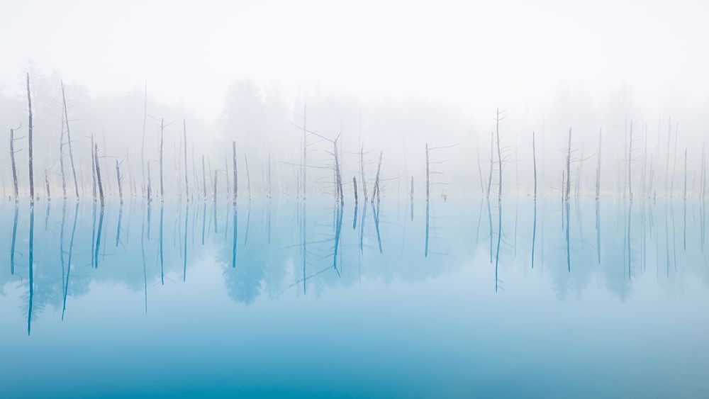 Gods Majesty Pond art print by Hidenori Sono for $57.95 CAD